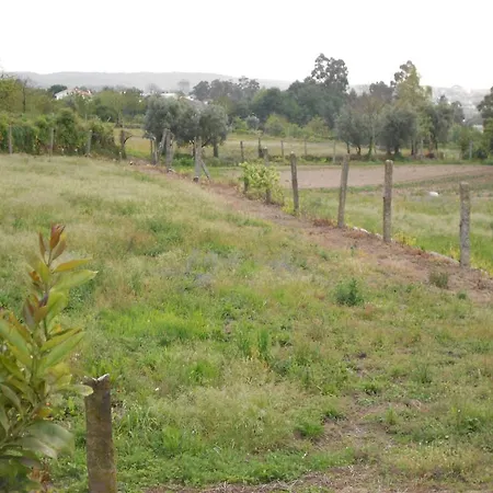 Holidays * Santo Tirso